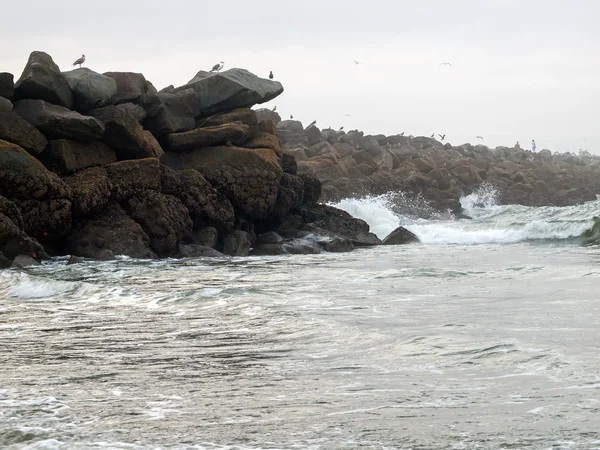 Um molhe de rocha com aves marinhas e ondas — Fotografia de Stock