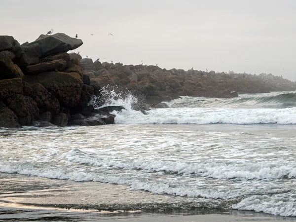 Um molhe de rocha com aves marinhas e ondas — Fotografia de Stock