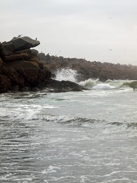 Bir Rock iskele ile deniz kuşları ve dalgalar — Stok fotoğraf