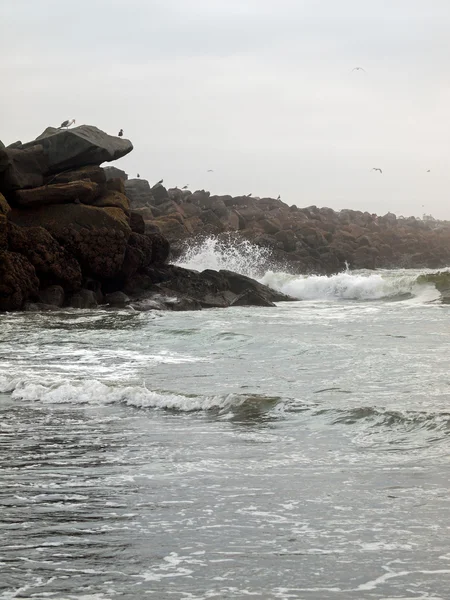 Un Jetty de Rock con aves marinas y olas —  Fotos de Stock