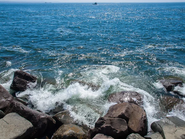 Вид з Jetty рок на березі океану Вашингтон США — стокове фото