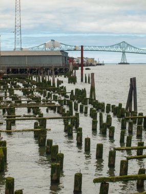 Pier günlükleri Astoria Köprüsü ile terk edilmiş yosun kaplı