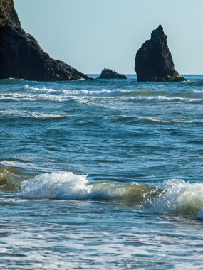Ayrıntı Haystack Rock, topu Beach Oregon ABD