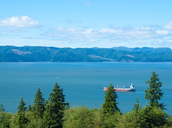 A View of the Astoria Oregon Area from the Astoria Column — Stock Photo, Image