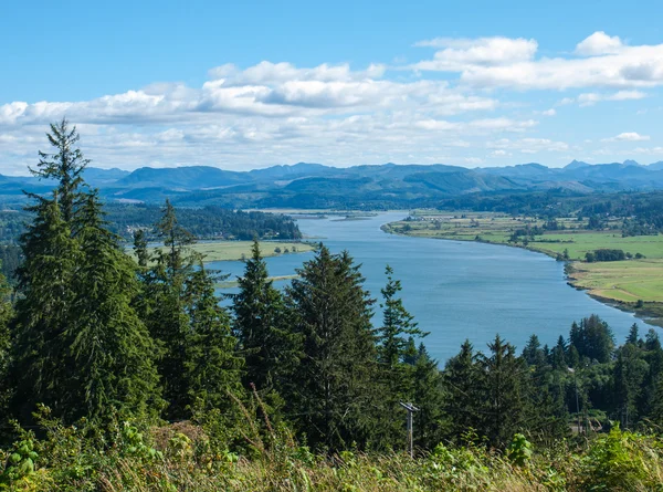 Vista de la zona de Astoria Oregon desde la Columna de Astoria — Foto de Stock