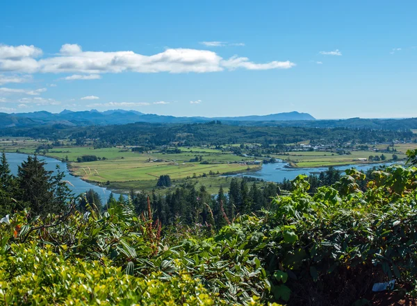 Pohled od Astoria sloupce oblast Astoria Oregon — Stock fotografie