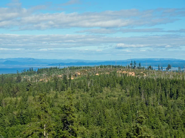 Vista de la zona de Astoria Oregon desde la Columna de Astoria — Foto de Stock