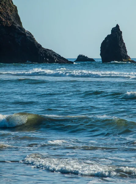 Ayrıntı Haystack Rock, topu Beach Oregon ABD — Stok fotoğraf