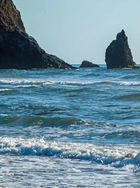 Detaljer om Haystack Rock ved Cannon Beach Oregon USA – stockfoto