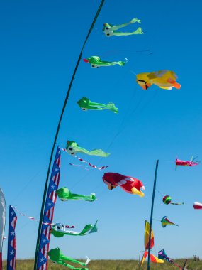 Renkli uçurtma Bulutsuz mavi gökyüzünde uçan