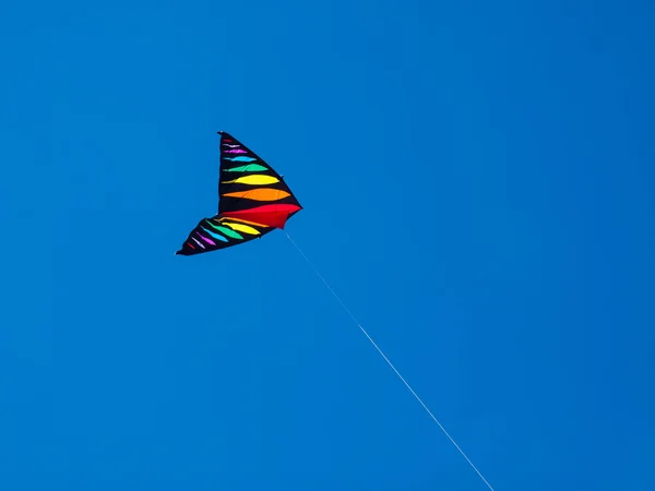 Cerfs-volants colorés volant dans un ciel bleu sans nuages — Photo