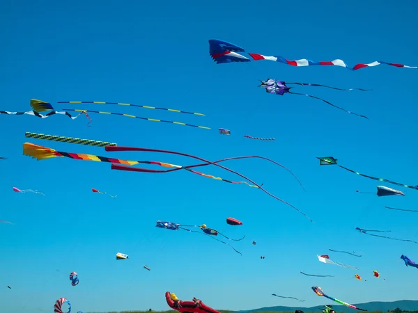 Färgglada drakar flyger i molnfri blå himmel — Stockfoto