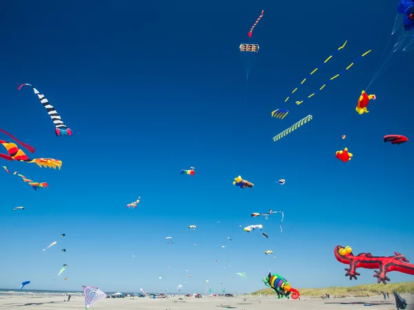 Bunte Drachen fliegen in wolkenlosem blauen Himmel — Stockfoto