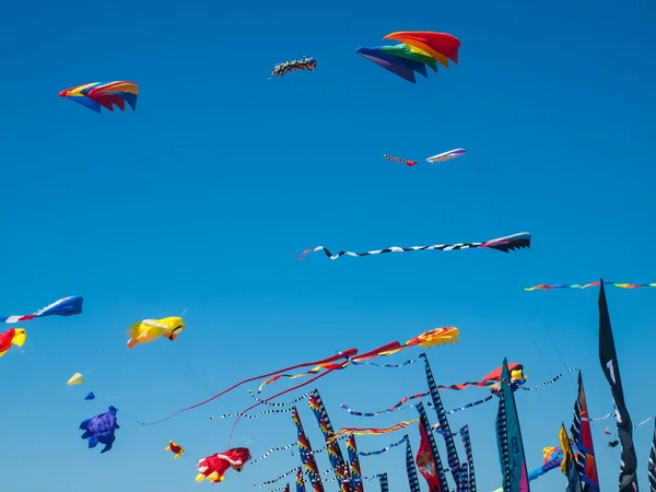 Kleurrijke vliegers vliegen in wolkenloze blauwe hemel — Stockfoto
