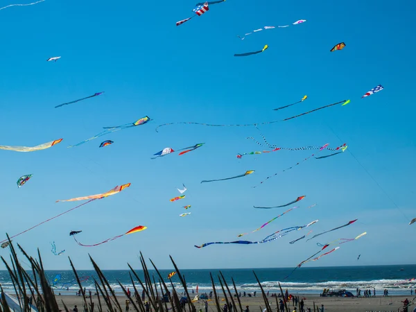 Aquiloni colorati che volano nel cielo blu senza nuvole — Foto Stock