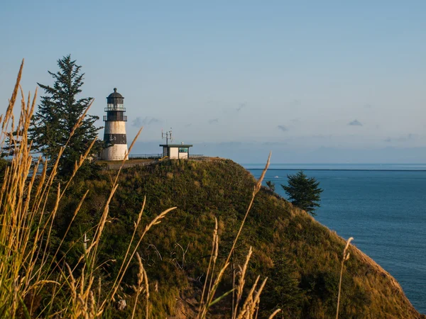 Cape besvikelse fyr på Washington kusten Usa — Stockfoto