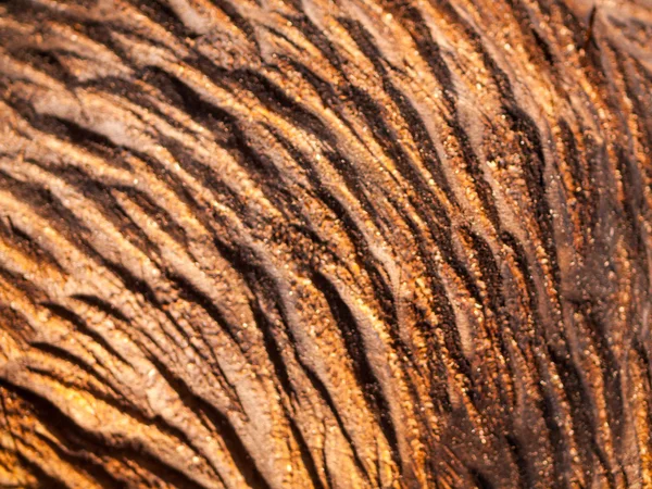 Carved and Burned Wood Texture from Chainsaw Sculpture — Stock Photo, Image