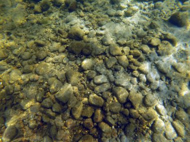 Kaya, kum ve yosun bir göl alt arka plan