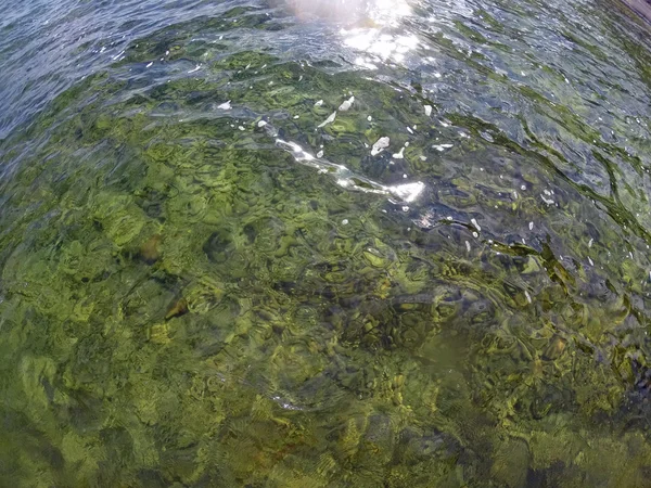 Superficie dell'acqua in un lago limpido — Foto Stock