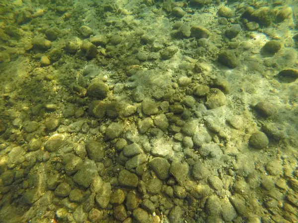 Sfondo di rocce, sabbia e alghe sul fondo di un lago — Foto Stock