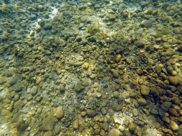 Sfondo di rocce, sabbia e alghe sul fondo di un lago — Foto Stock