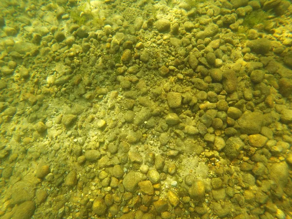 Sfondo di rocce, sabbia e alghe sul fondo di un lago — Foto Stock