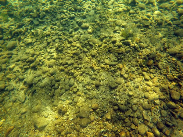Sfondo di rocce, sabbia e alghe sul fondo di un lago — Foto Stock