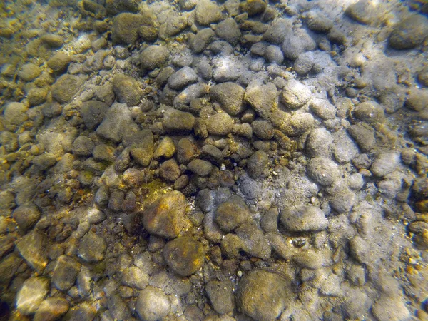 Sfondo di rocce, sabbia e alghe sul fondo di un lago — Foto Stock