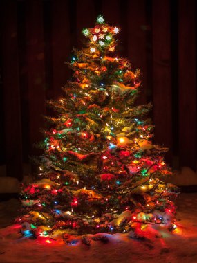 Çok renkli ışıklar ile Noel ağacı kar kaplı