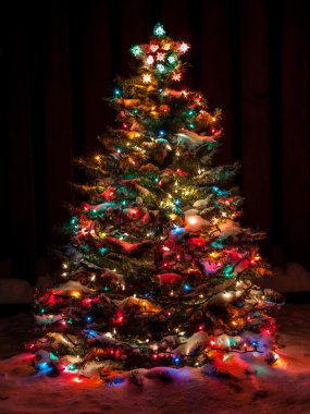 Çok renkli ışıklar ile Noel ağacı kar kaplı