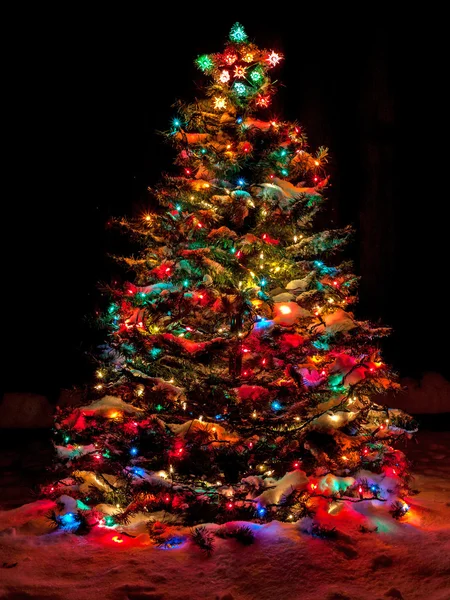 Χιονοσκέπαστο χριστουγεννιάτικο δέντρο με φώτα Multi χρώματος — Φωτογραφία Αρχείου