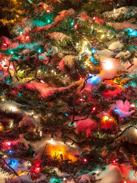 Snow Covered Christmas Tree with Multi Colored Lights — Stock Photo, Image