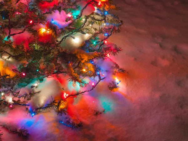Pokryte śniegiem Choinka z Multi kolorowe światła — Zdjęcie stockowe