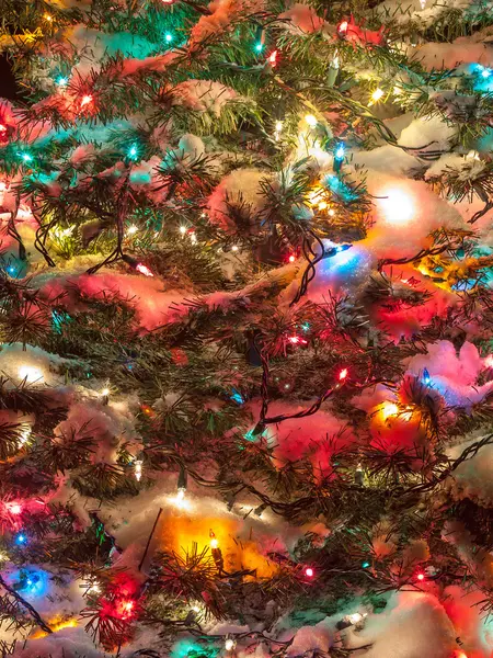 Árbol de Navidad cubierto de nieve con luces multicolores — Foto de Stock