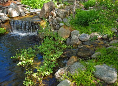 Güzel gölet ve küçük, Rocky şelale