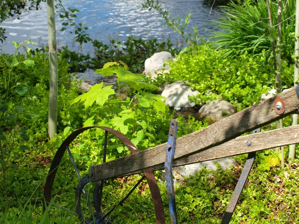 Hübsche und farbenfrohe Blumen in ländlicher Umgebung — Stockfoto