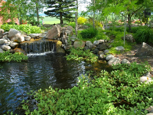 Un pequeño estanque con almohadillas Lilly y peces Koi — Foto de Stock
