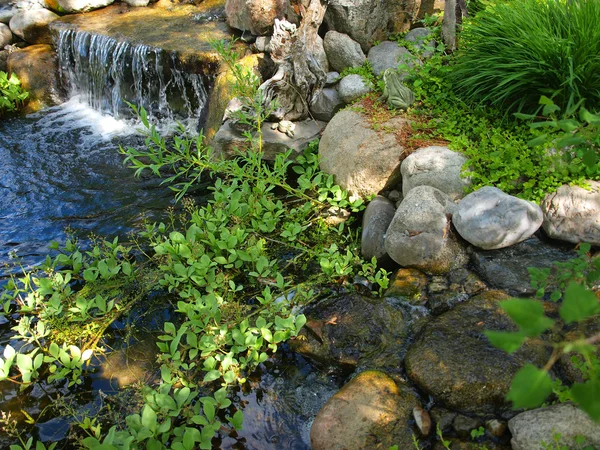 Hermoso estanque y con una pequeña cascada rocosa — Foto de Stock