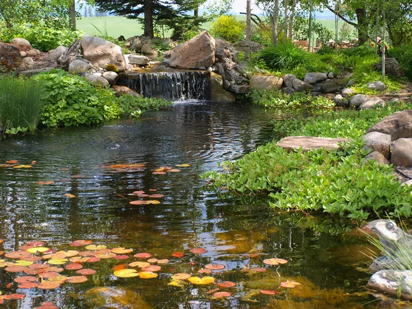 Ein kleiner Teich mit Seeroseneinlagen und Koi-Fischen — Stockfoto