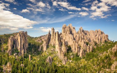 Custer Eyalet Parkı 'nda Needles Otoyolu