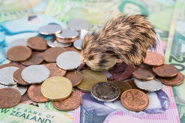 New Zealand Money — Stock Photo, Image