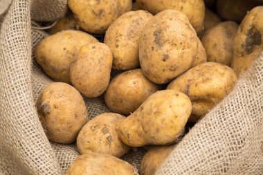çuval patates