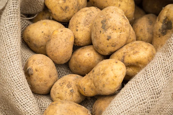 Potatis i säck — Stockfoto