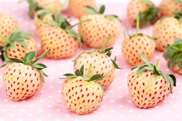 Bir kaç taze Pineberries — Stok fotoğraf