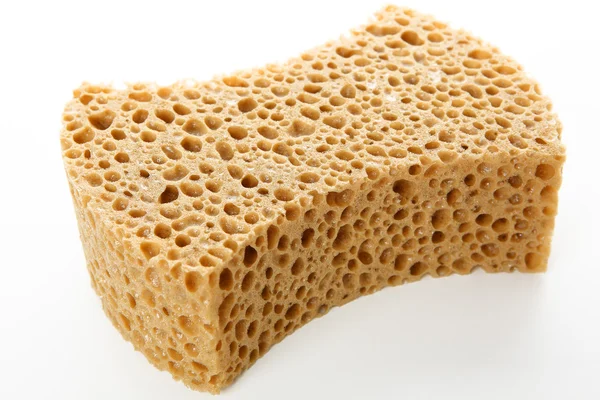 Sponge with white background — Stock Photo, Image