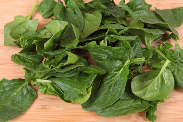 Fresh green leaf spinach — Stock Photo, Image