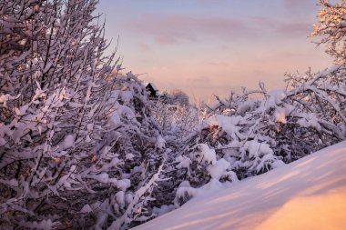 Gün batımında kış manzarası. Karla kaplı çatıdan bak