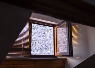 Pencereden süzülen ağaçlar, kış manzarası.