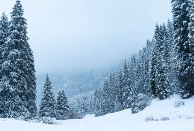 Orman kışın karla kaplıydı. Kar yağarken dağlarda..