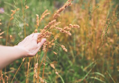 Kadınların elleri kulaklarına dokunuyor.